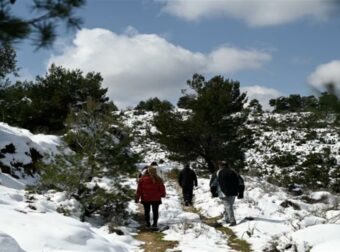 Πολικό ψύχος κάλυψε την χώρα: Έπεσε κάτω από το 0 ο υδράγυρος – Που σημειώθηκε η χαμηλότερη θερμοκρασία (video)