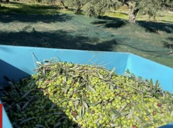 Λιομάζωμα 50 στρεμμάτων σε μία ημέρα – Το σύστημα που θα φέρει την «επανάσταση»