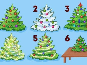 Ψυχολογικό τεστ: Διάλεξε το αγαπημένο σου χριστουγεννιάτικο δέντρο και θα μάθεις πολλά για τον χαρακτήρα σου