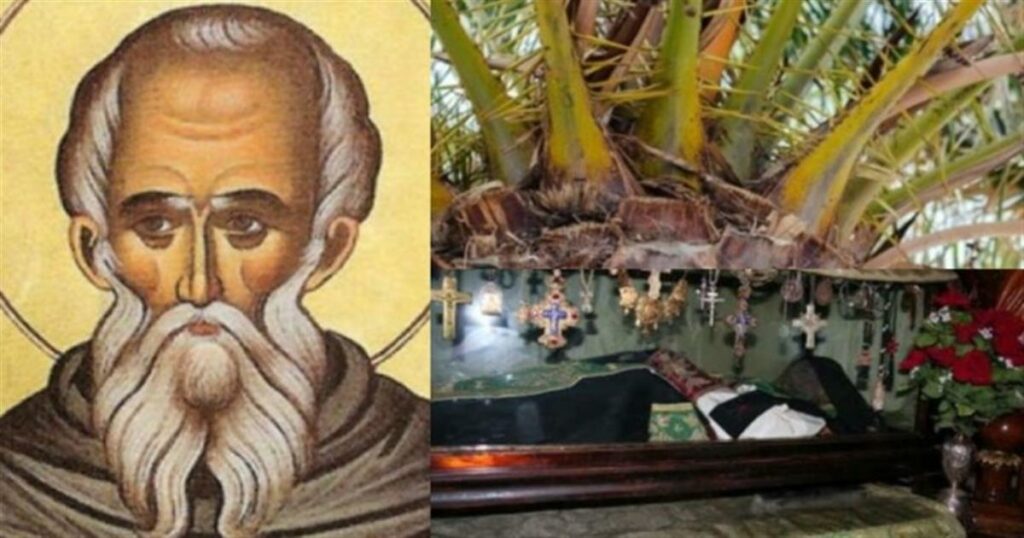 «Ήπιε ρόφημα από τα φύλλα της φοινικιάς του και έγινε το θαύμα»: Συγκλονίζει η εξομολόγηση πιστής για το θαυματουργό δέντρο του Αγίου Σάββα που βοηθά τις γυναίκες να τεκνοποιήσουν