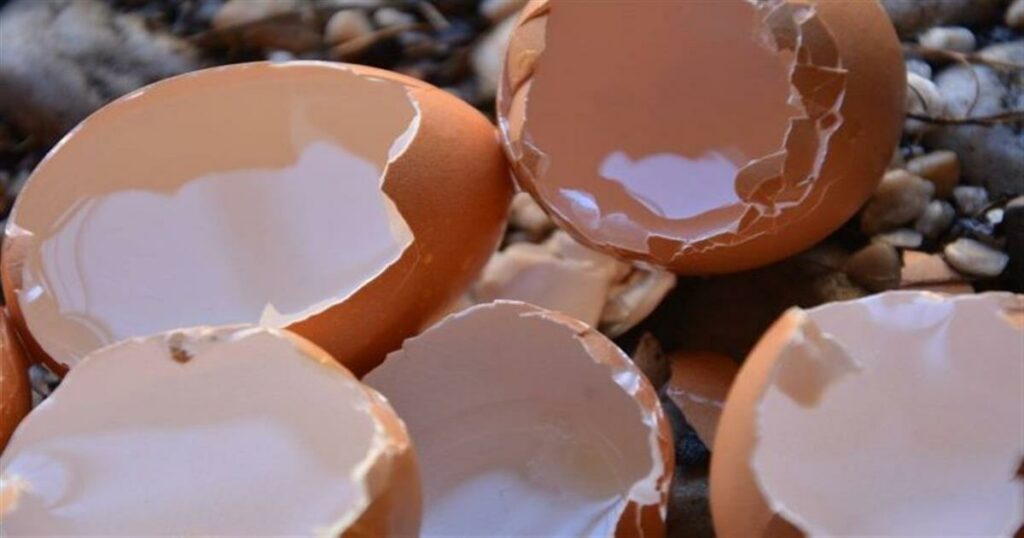 Έβαλε τσόφλια αυγού στο κομμένο χέρι: Δείτε γιατί και θα το κάνετε αμέσως [video]